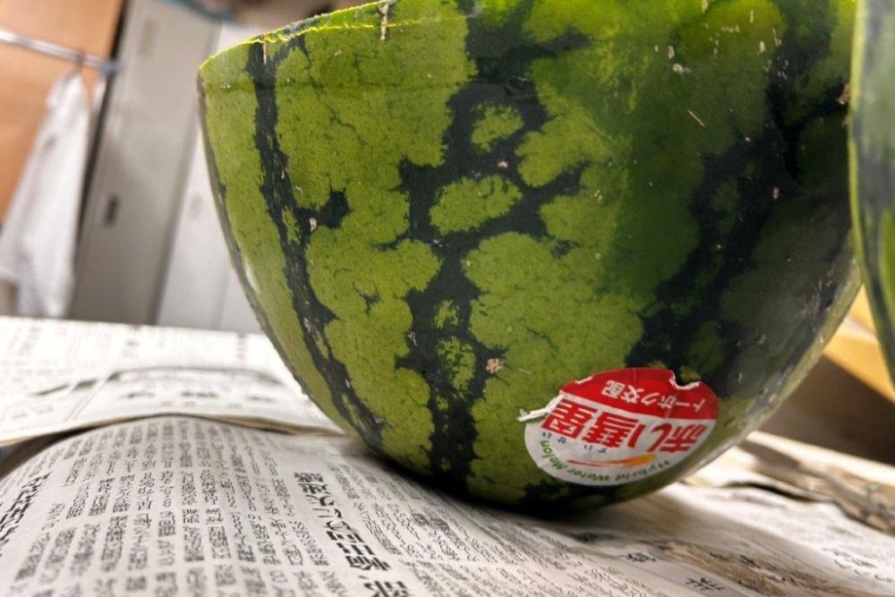 すいか🍉