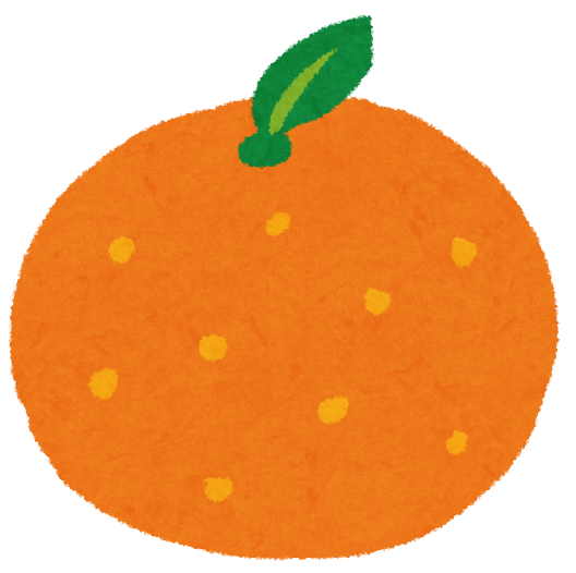 みかん🍊